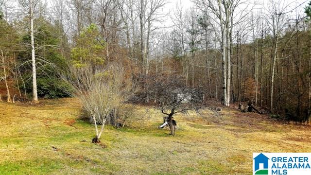 5489 Highway 9 Heflin, AL 36264 - Photo 49 of 50