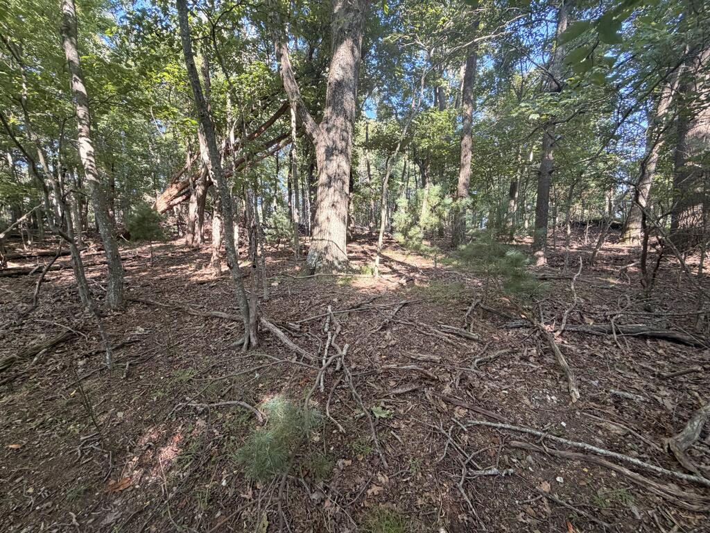 Tbd Cascade Trail, Unit 13 Fancy Gap, VA 24328 - Photo 2 of 19 Gallery Image 2
