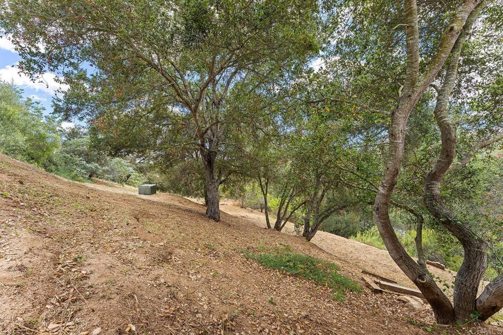 2557 Live Oak Park Road Fallbrook, CA 92028 - Photo 46 of 53 a view of dirt yard with a tree