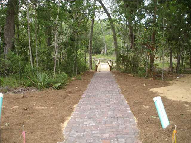 31 Beacon Point Drive Santa Rosa Beach, FL 32459 - Photo 17 of 18 a view of a backyard