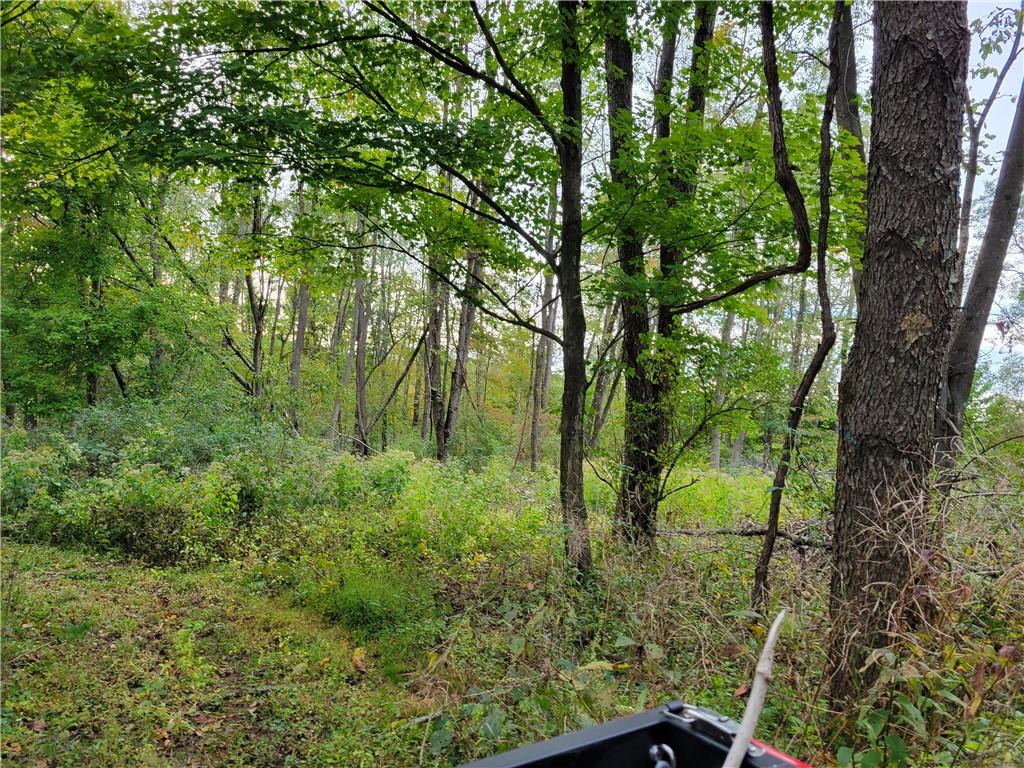 1286 New Lebanon Road Carlton, PA 16311 - Photo 12 of 15 a view of outdoor space and yard