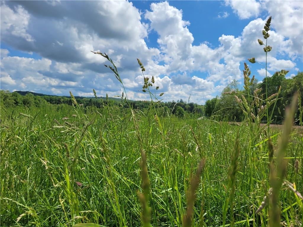 1286 New Lebanon Road Carlton, PA 16311 - Photo 15 of 15 a view of a lake