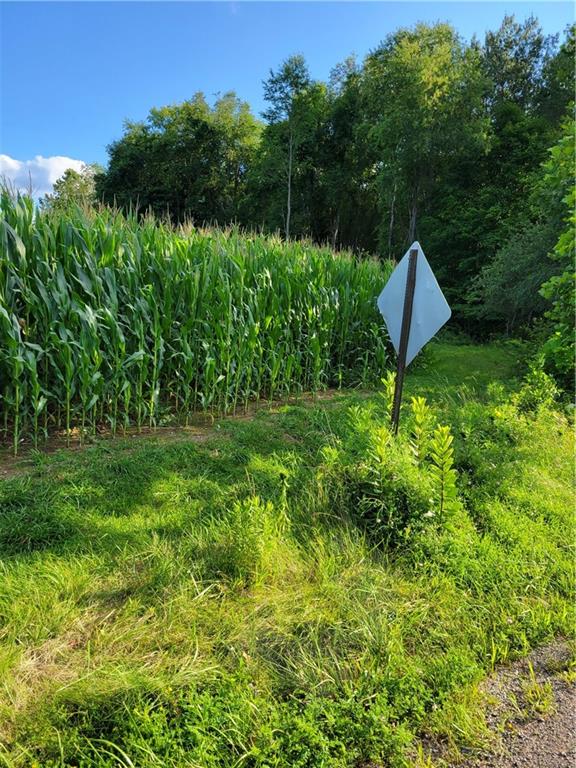 1286 New Lebanon Road Carlton, PA 16311 - Photo 2 of 15 a backyard of a house with lots of green space