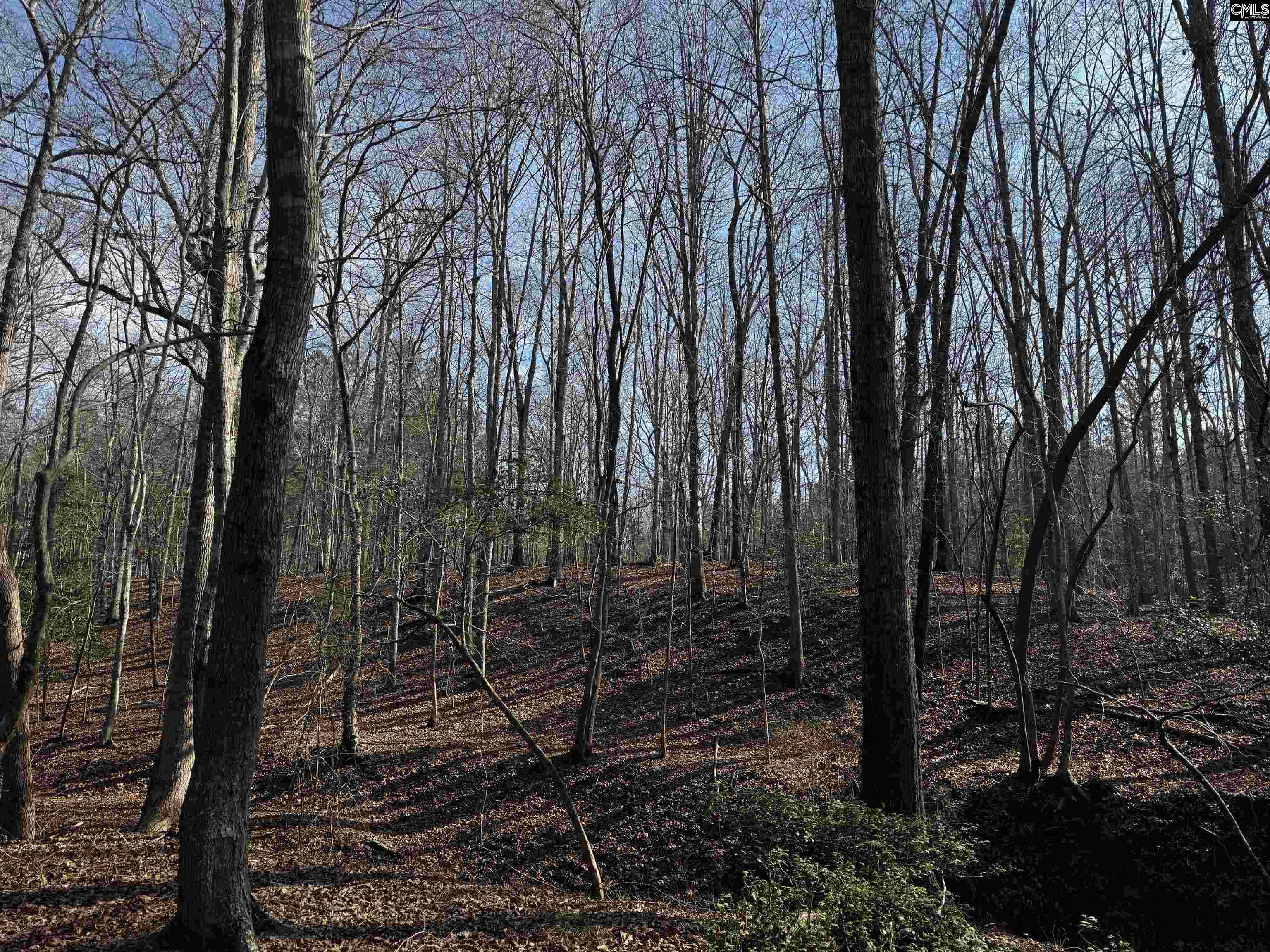 0 Mann Road Winnsboro, SC 29180 - Photo 19 of 22