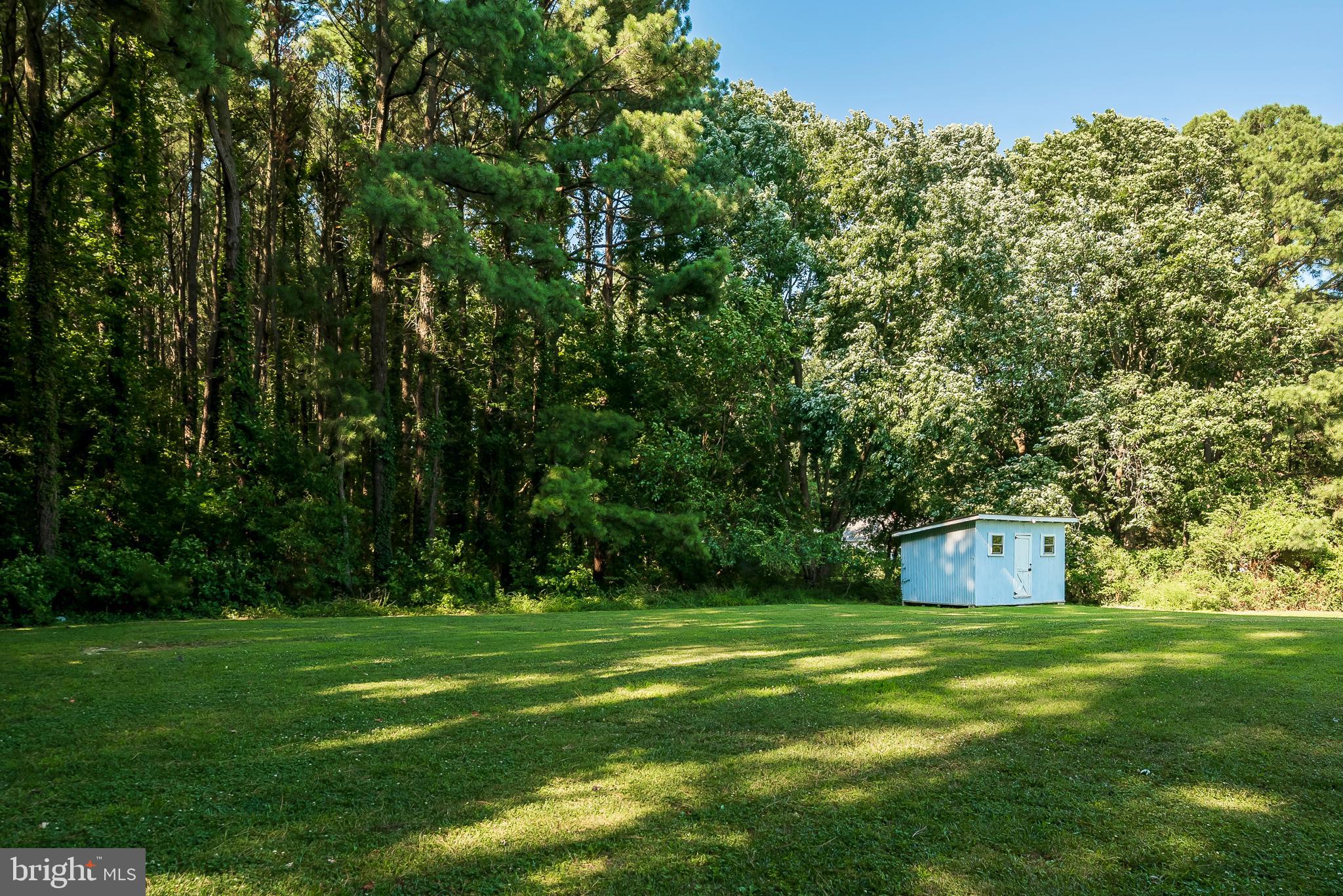 104 Golt Road Chester, MD 21619 - Photo 26 of 29 Back Yard - Conservation area beyond!