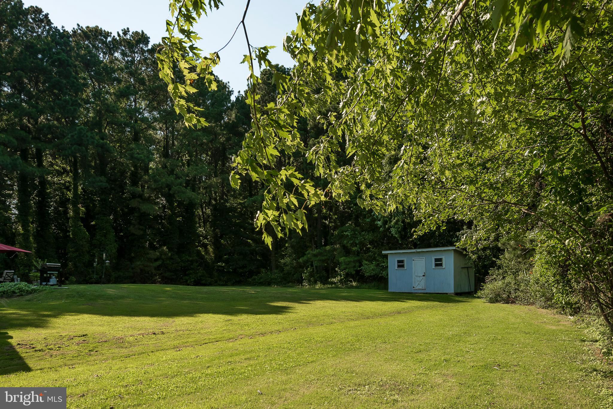 104 Golt Road Chester, MD 21619 - Photo 27 of 29 Back Yard - Shed