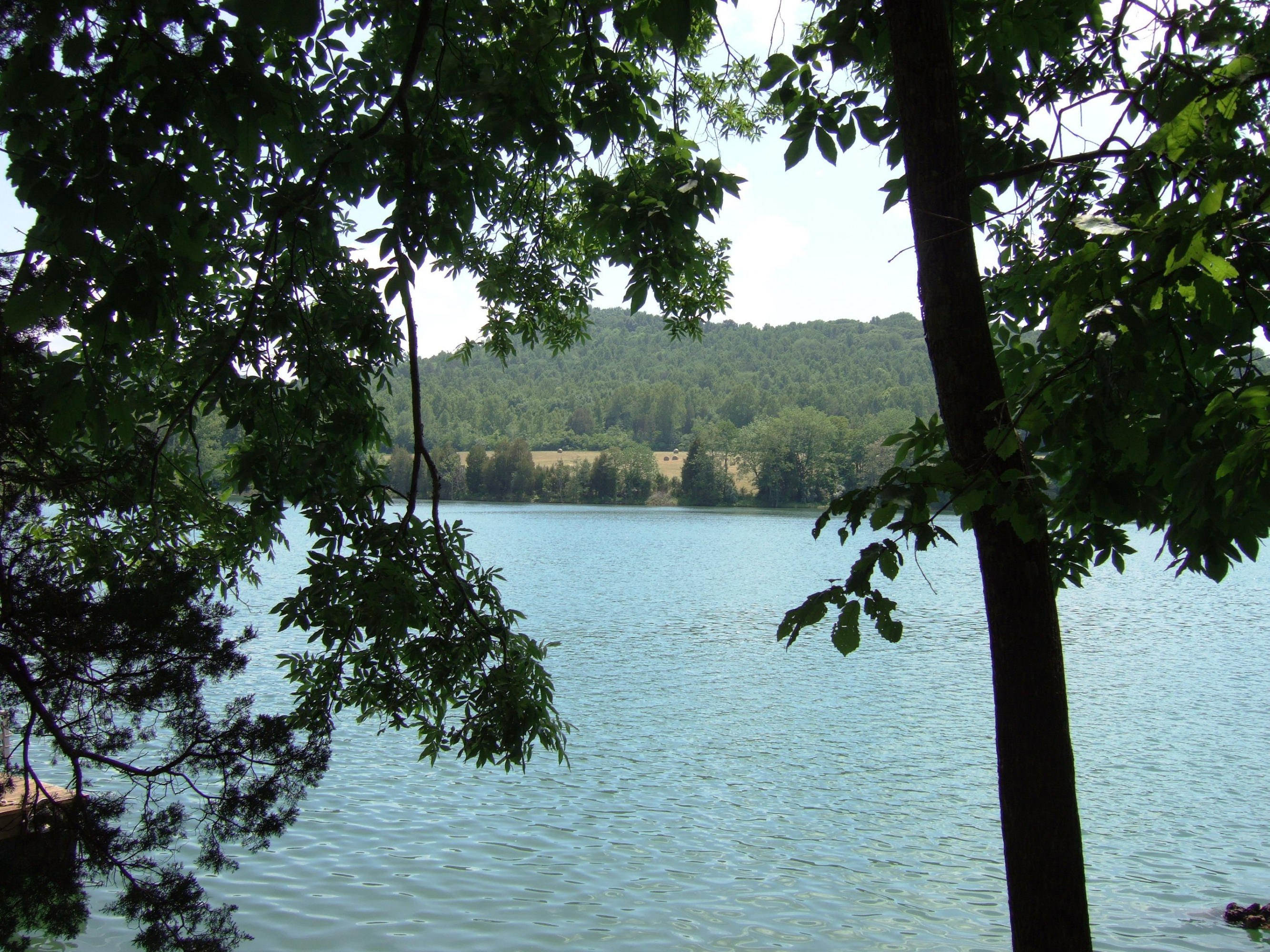 141 Helms Ferry Road Sharps Chapel, TN 37866 - Photo 3 of 21 Water by the dock