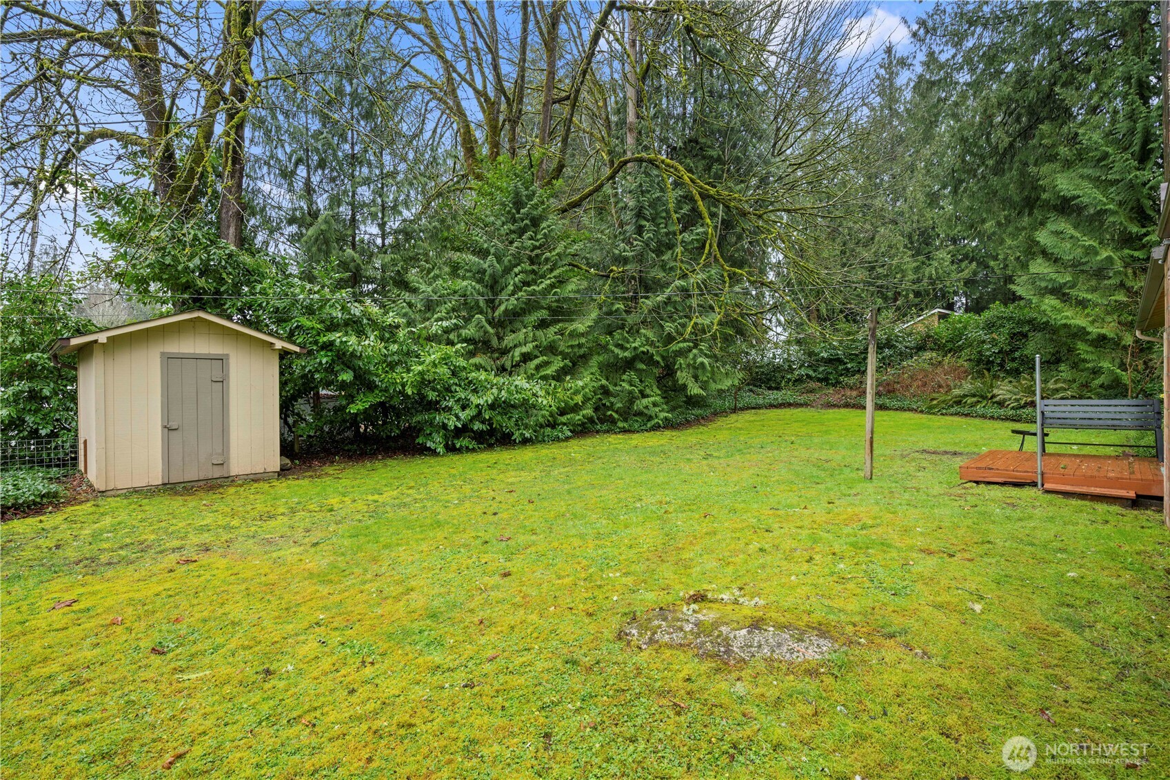 13523 80th Street Southeast Snohomish, WA 98290 - Photo 10 of 12 a backyard of a house with plants and large trees