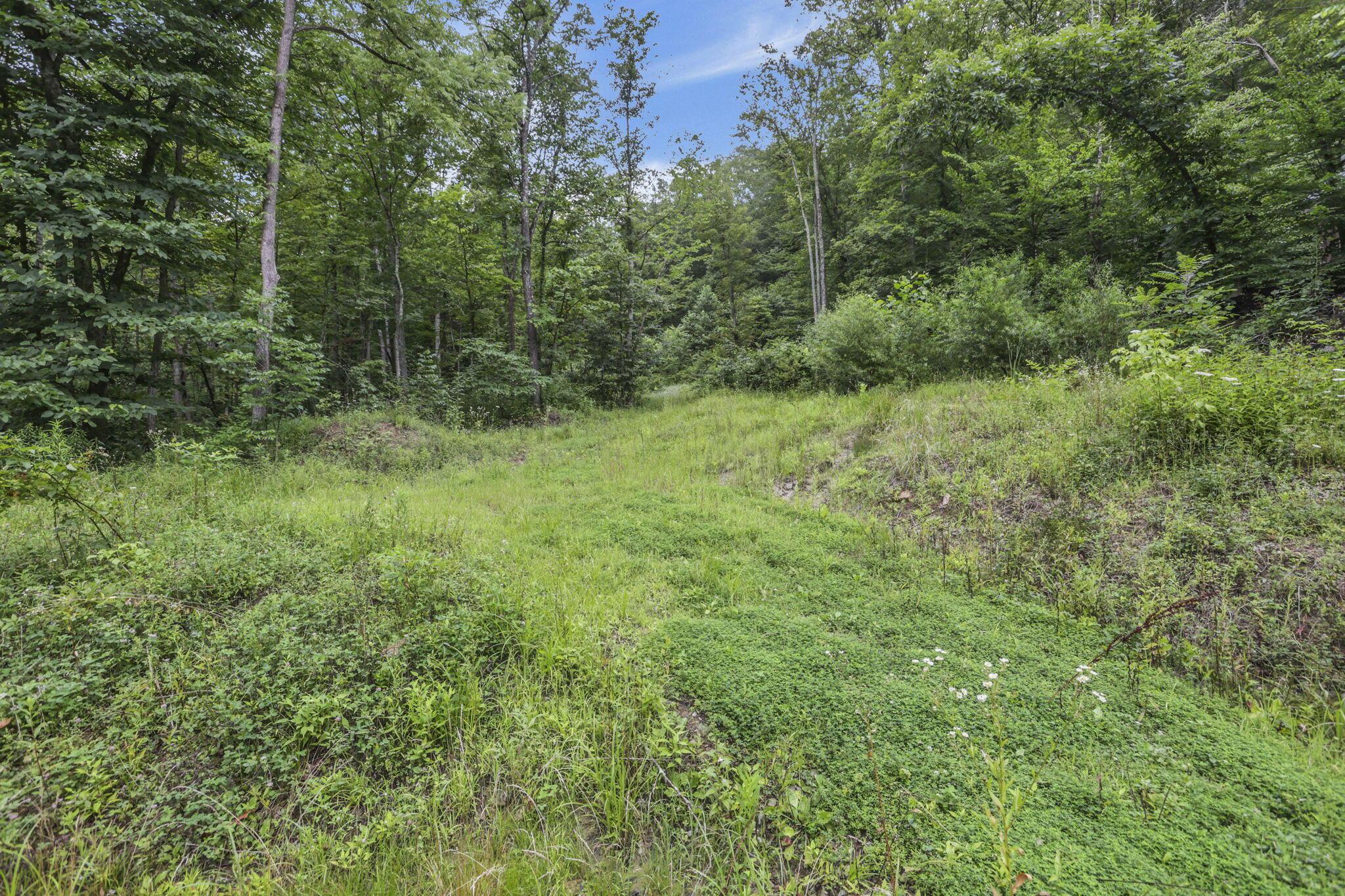 0 Greens Run Road Glouster, OH 45732 - Photo 101 of 121 101-web-or-mls-LO5A2071