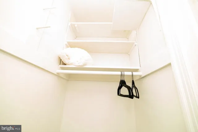 a view of a house with a yard deck and a tree