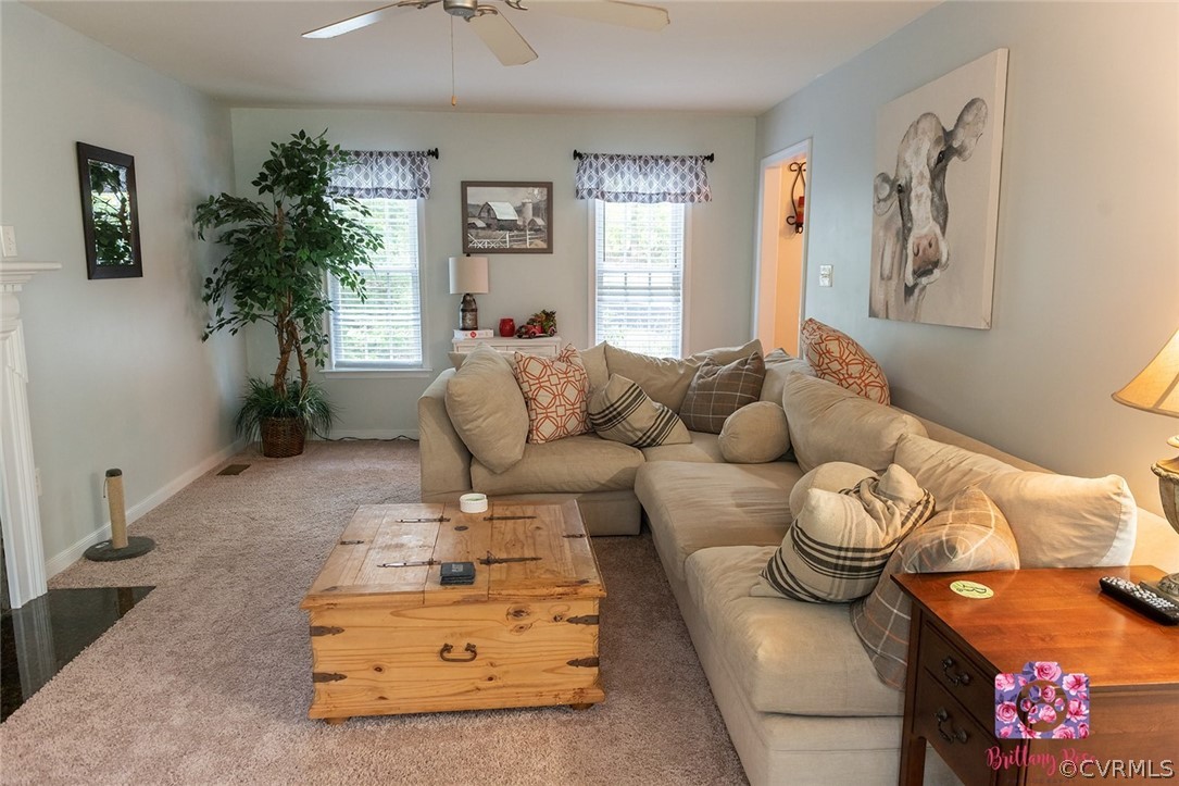 2936 Lowry Road Columbia, VA 23038 - Photo 4 of 11 a living room with furniture and a potted plant