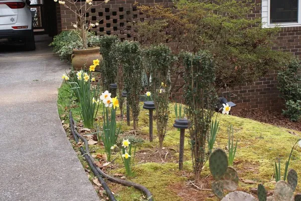 a view of yard