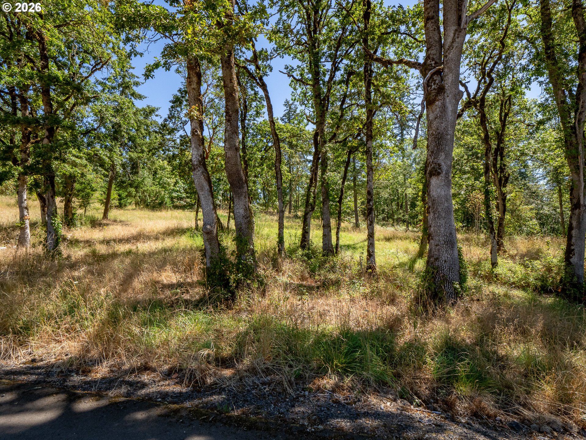 34175 Northeast Wilsonville Road Newberg, OR 97132 - Photo 41 of 46