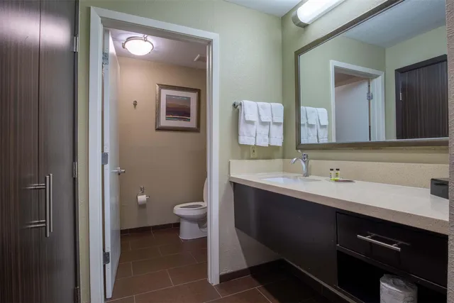 a bathroom with a toilet sink double and mirror
