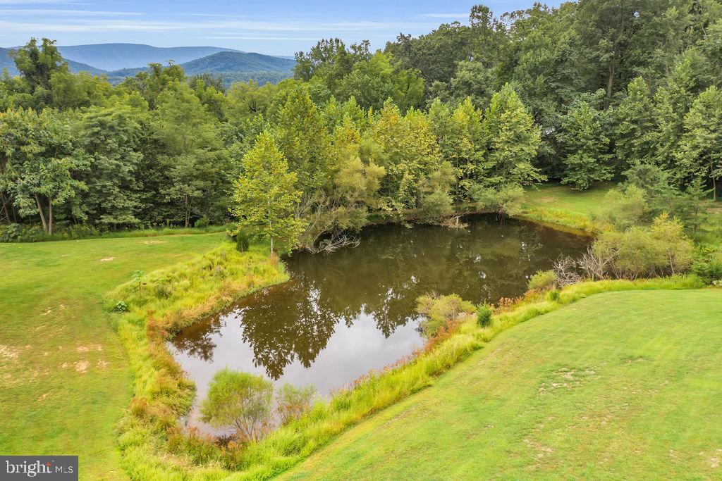 218 Thunder Road Front Royal, VA 22630 - Photo 67 of 78 Tranquil pond