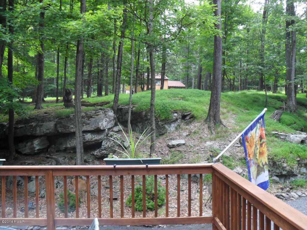 45 Hibernation Road Lake Ariel, PA 18436 - Photo 41 of 47