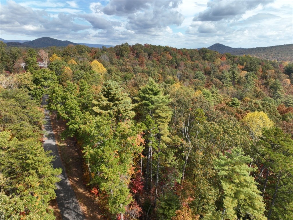 298 Cold Springs Church Road Pickens, SC 29671 - Photo 4 of 12