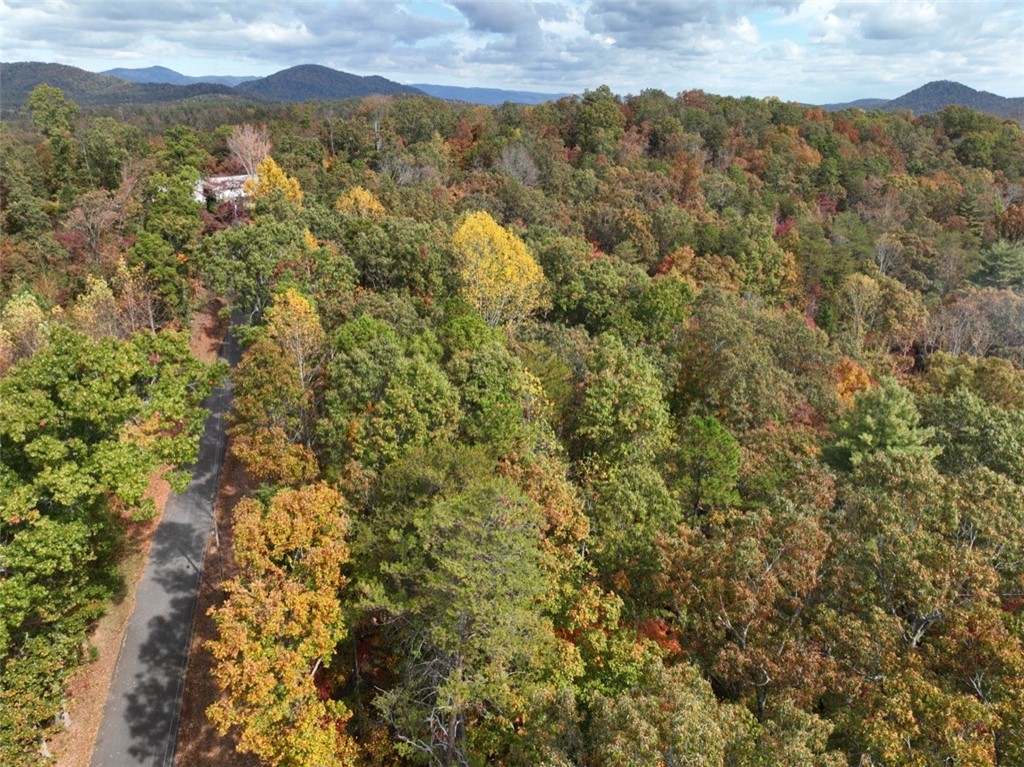 298 Cold Springs Church Road Pickens, SC 29671 - Photo 6 of 12