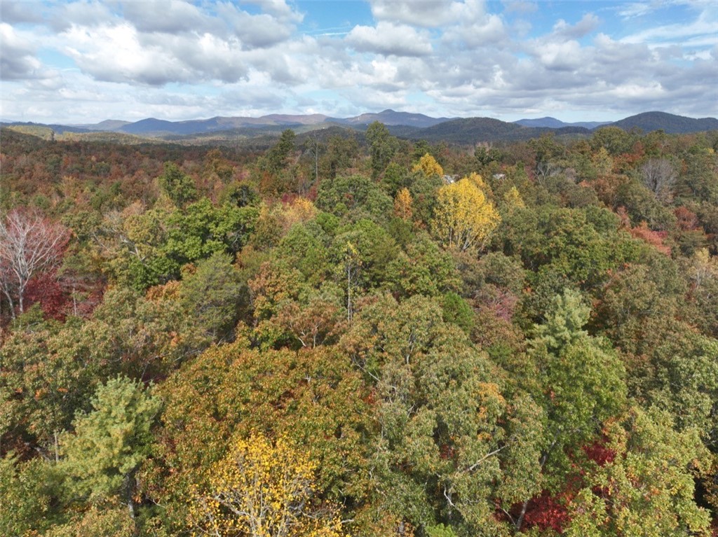 298 Cold Springs Church Road Pickens, SC 29671 - Photo 7 of 12