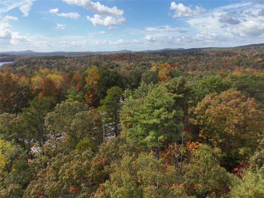 298 Cold Springs Church Road Pickens, SC 29671 - Photo 8 of 12