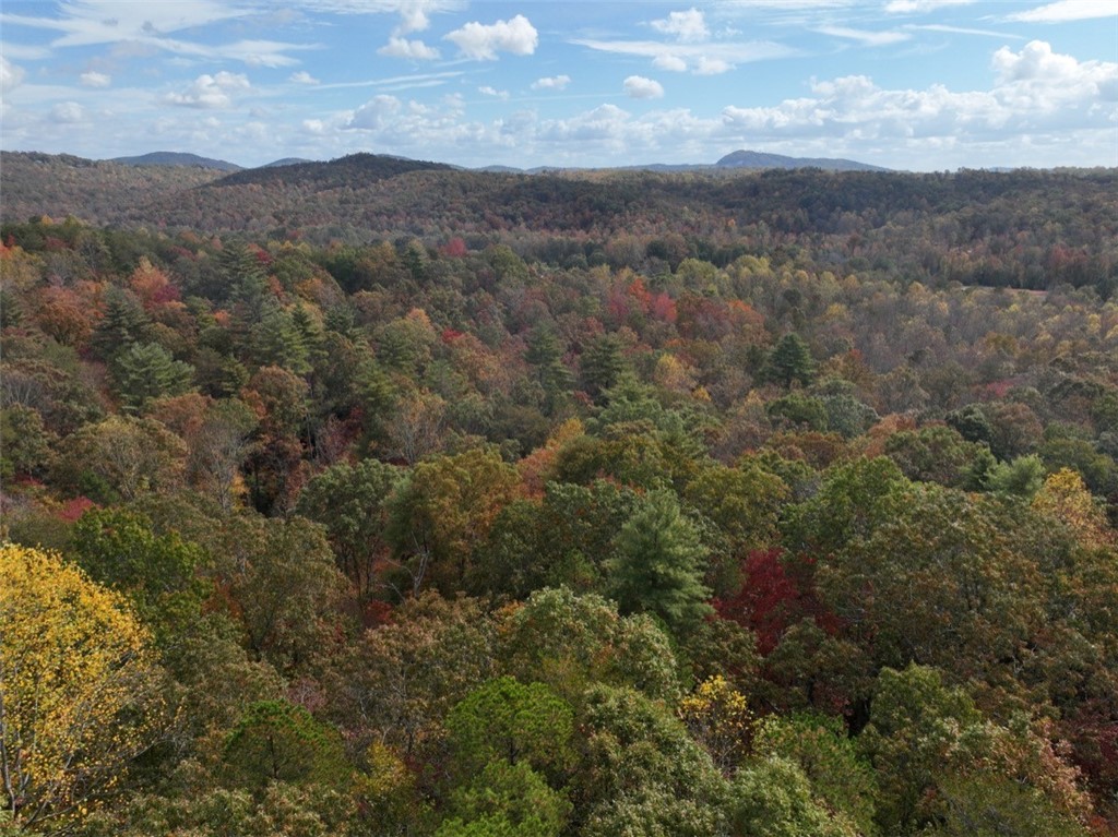 298 Cold Springs Church Road Pickens, SC 29671 - Photo 10 of 12