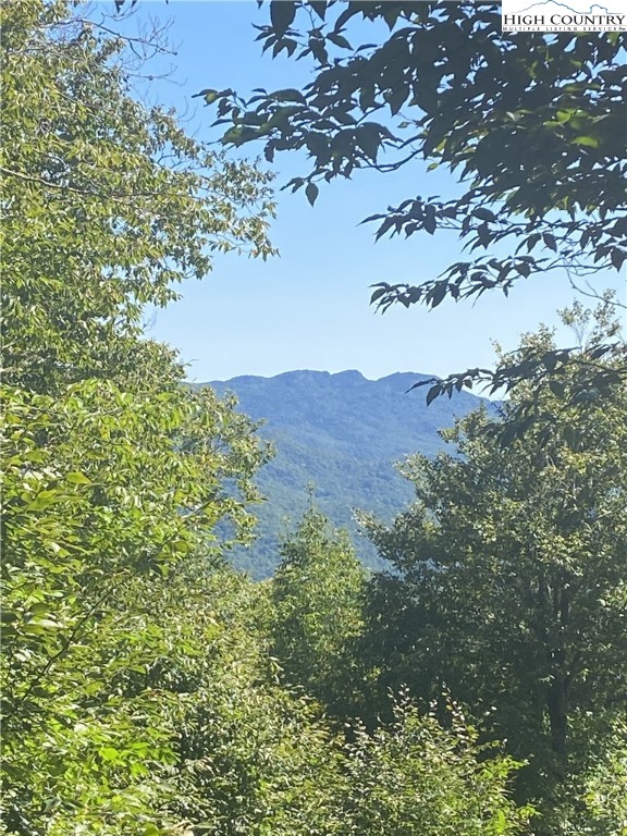 76 Sunset Strip Banner Elk, NC 28604 - Photo 3 of 5