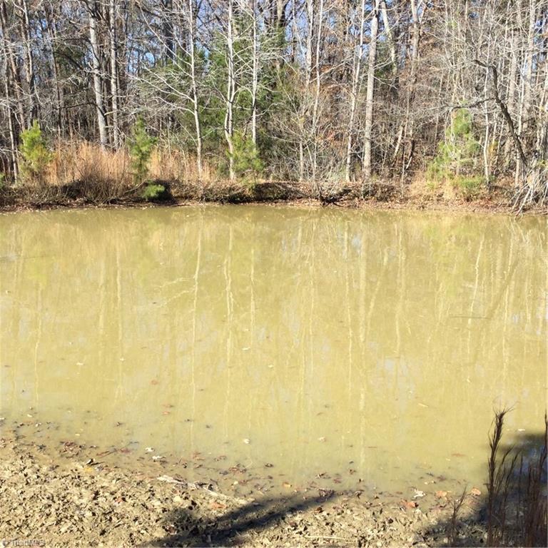 1141 Gant Road Graham, NC 27253 - Photo 23 of 24 Pond