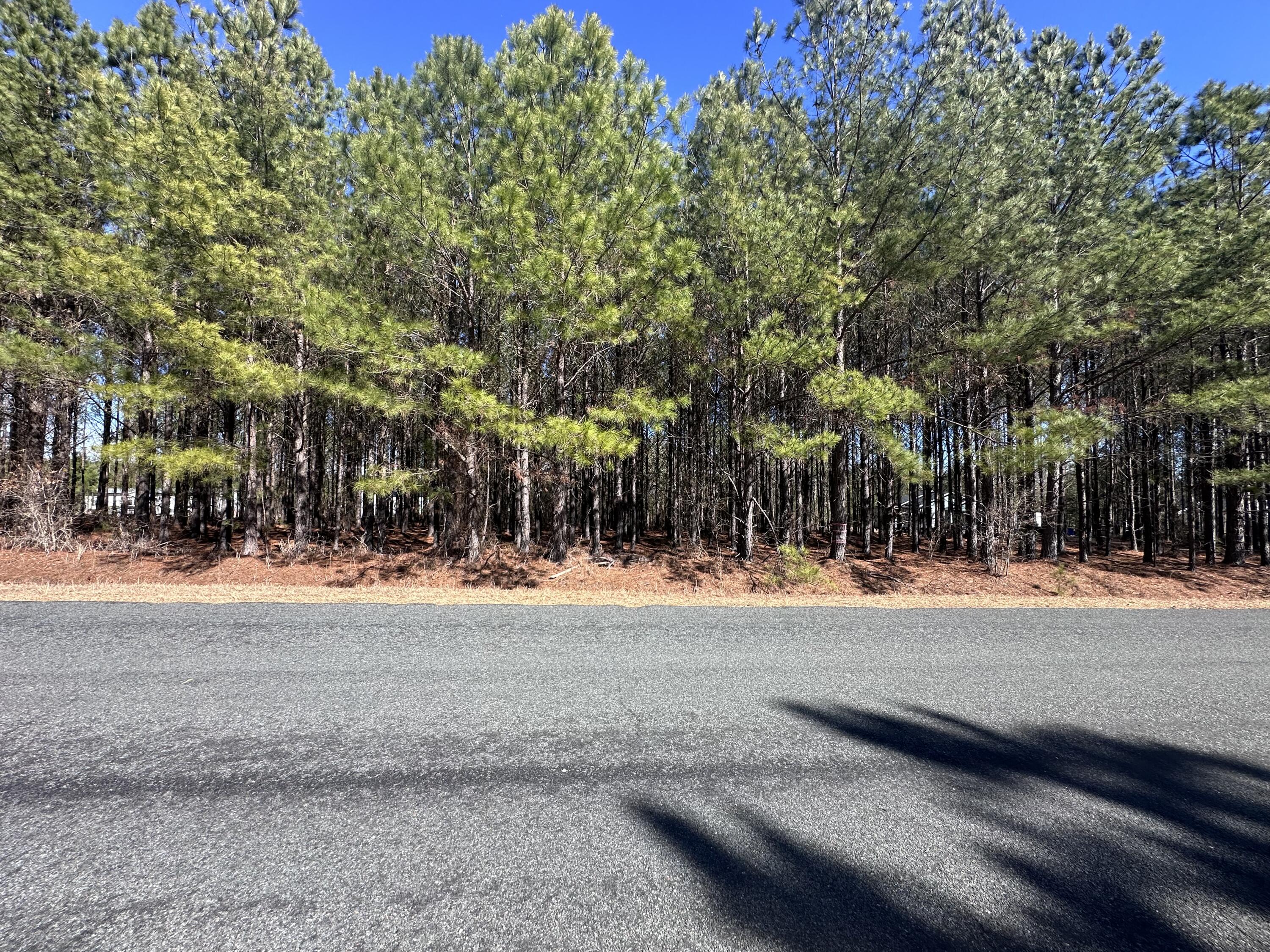 0 Horses Neck Road, Unit LOT 17A Swansea, SC 29160 - Photo 1 of 3