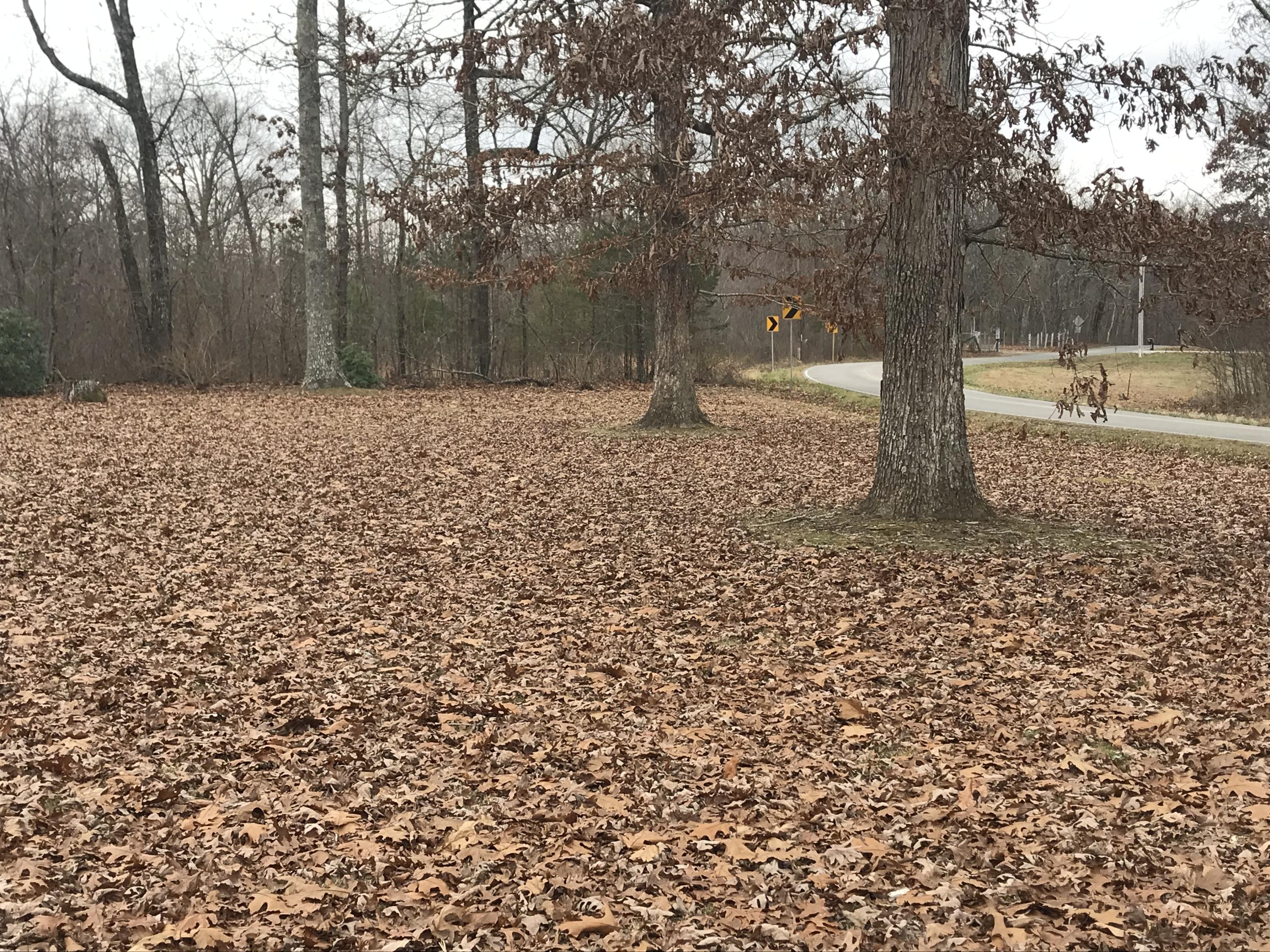 44 Flat Top Road Soddy Daisy, TN 37379 - Photo 14 of 16 Road front