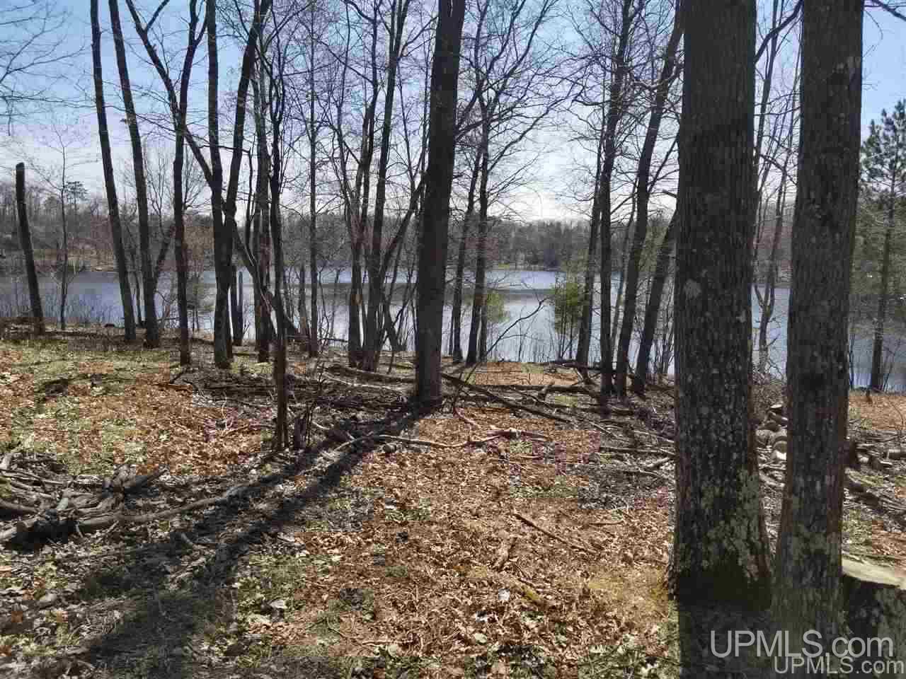 Tbd Town Rd Aa, Unit 19 & 20 Florence, WI 54121 - Photo 5 of 6