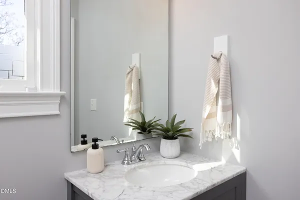 a bathroom with a granite countertop sink and a potted plant
