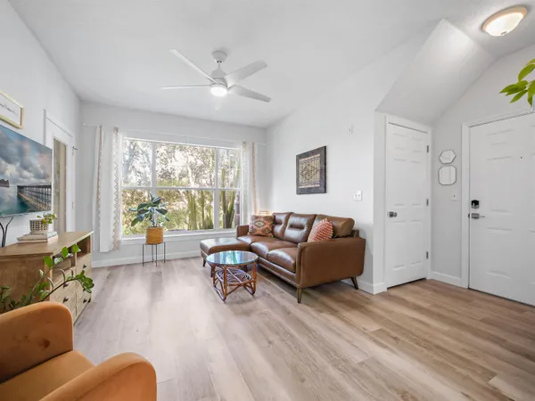 a living room with furniture potted plant and a large window