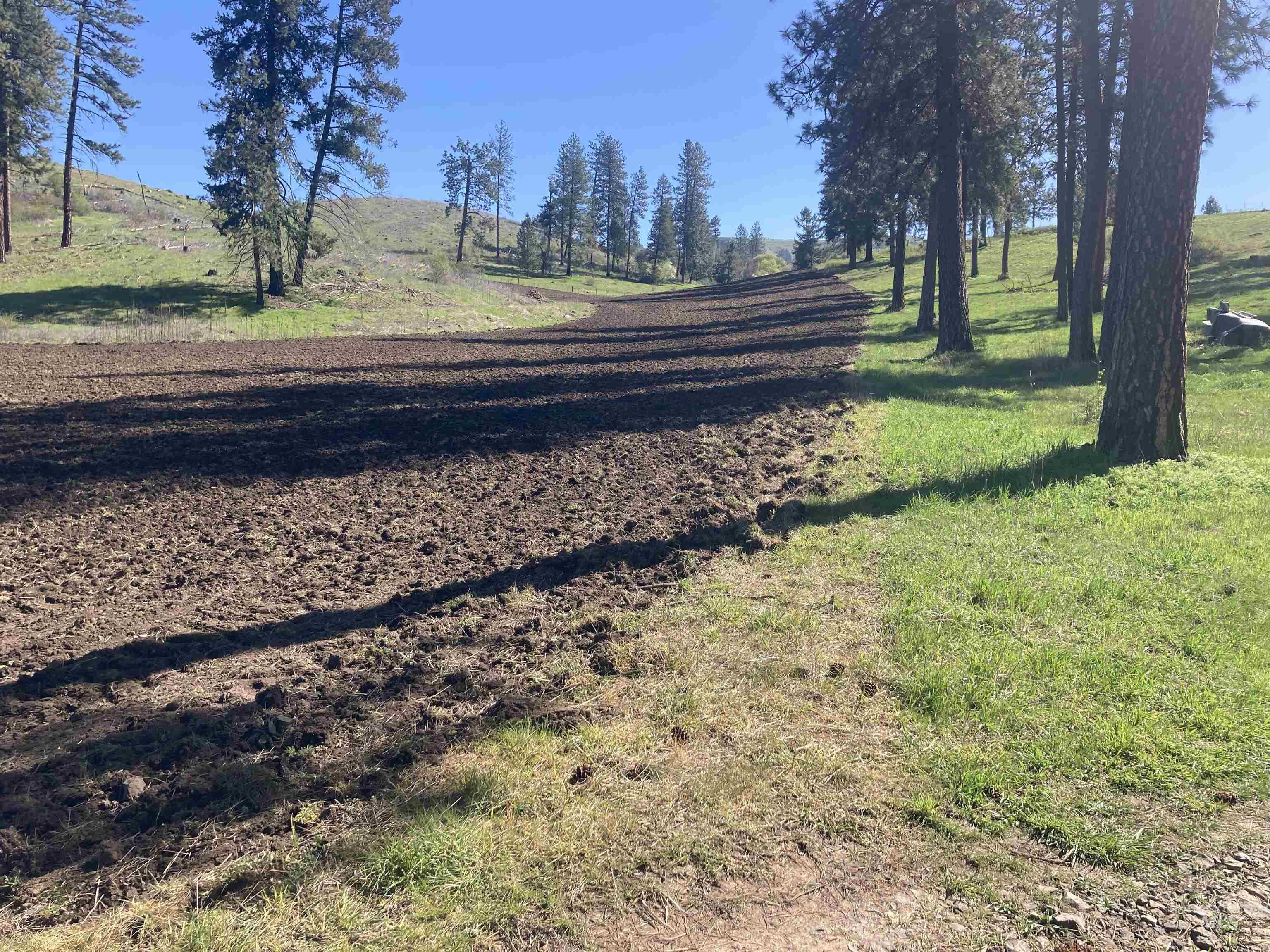 Tbd Rangeline Drive Kamiah, ID 83536 - Photo 11 of 24