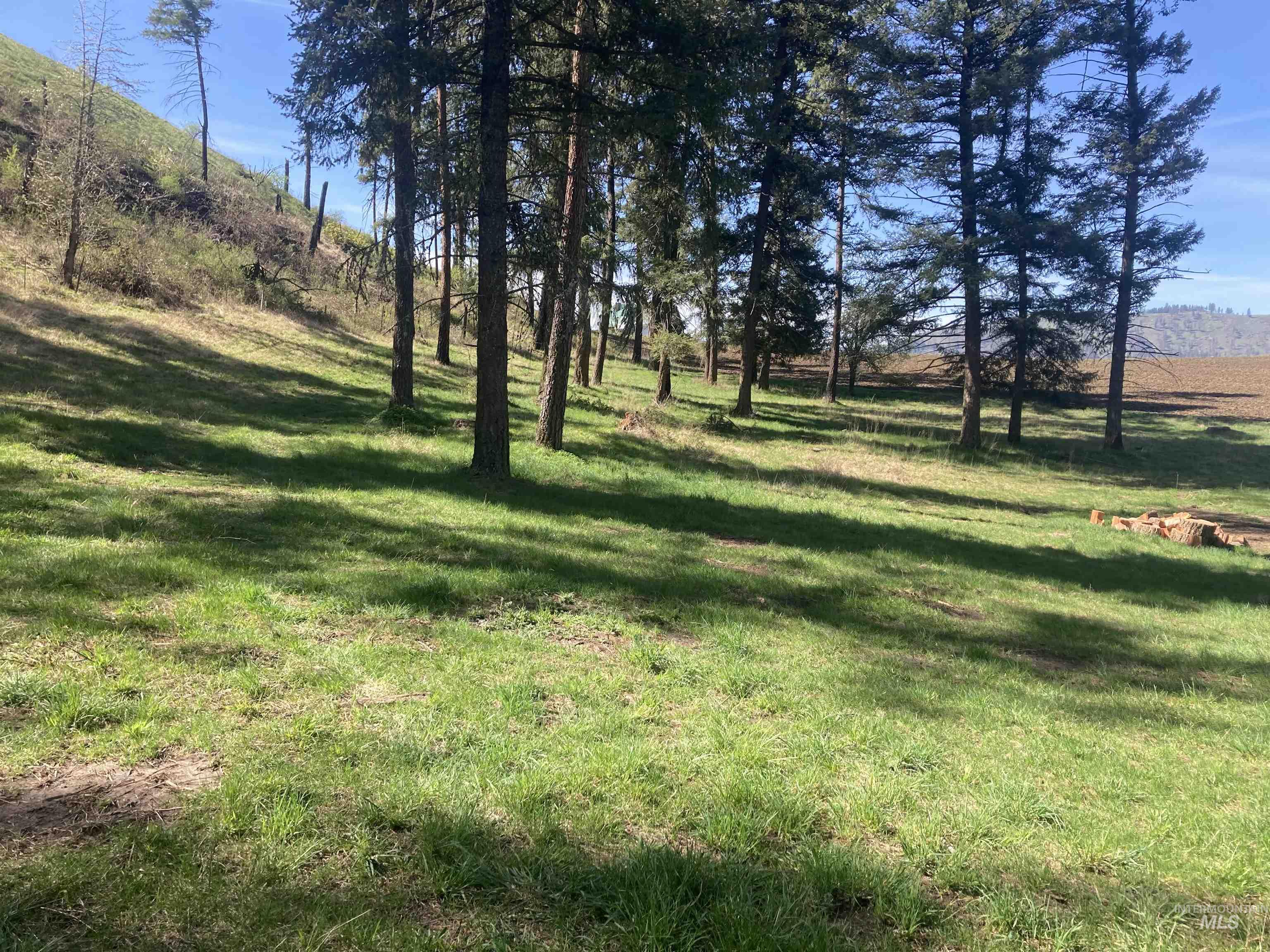 Tbd Rangeline Drive Kamiah, ID 83536 - Photo 12 of 24