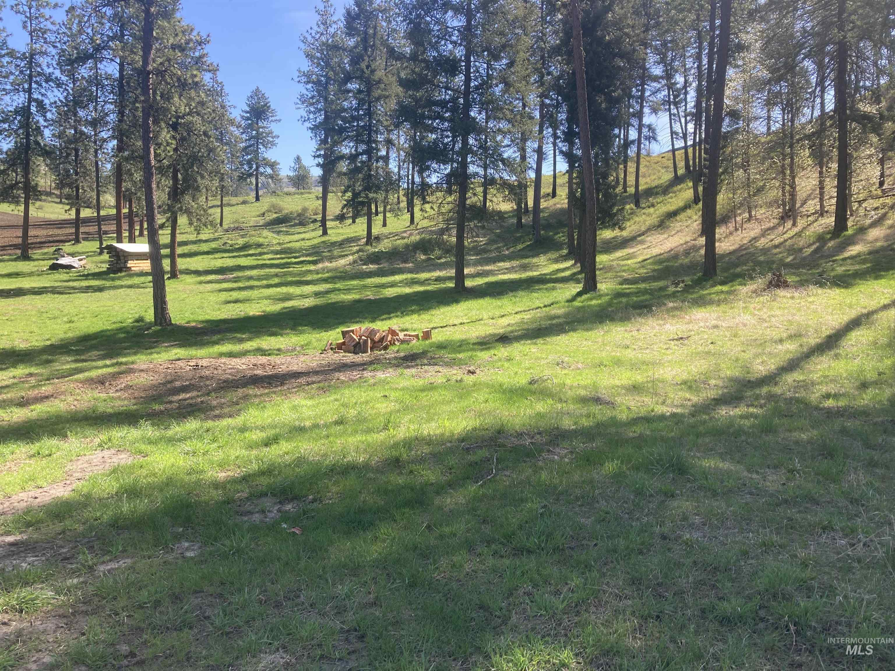 Tbd Rangeline Drive Kamiah, ID 83536 - Photo 14 of 24