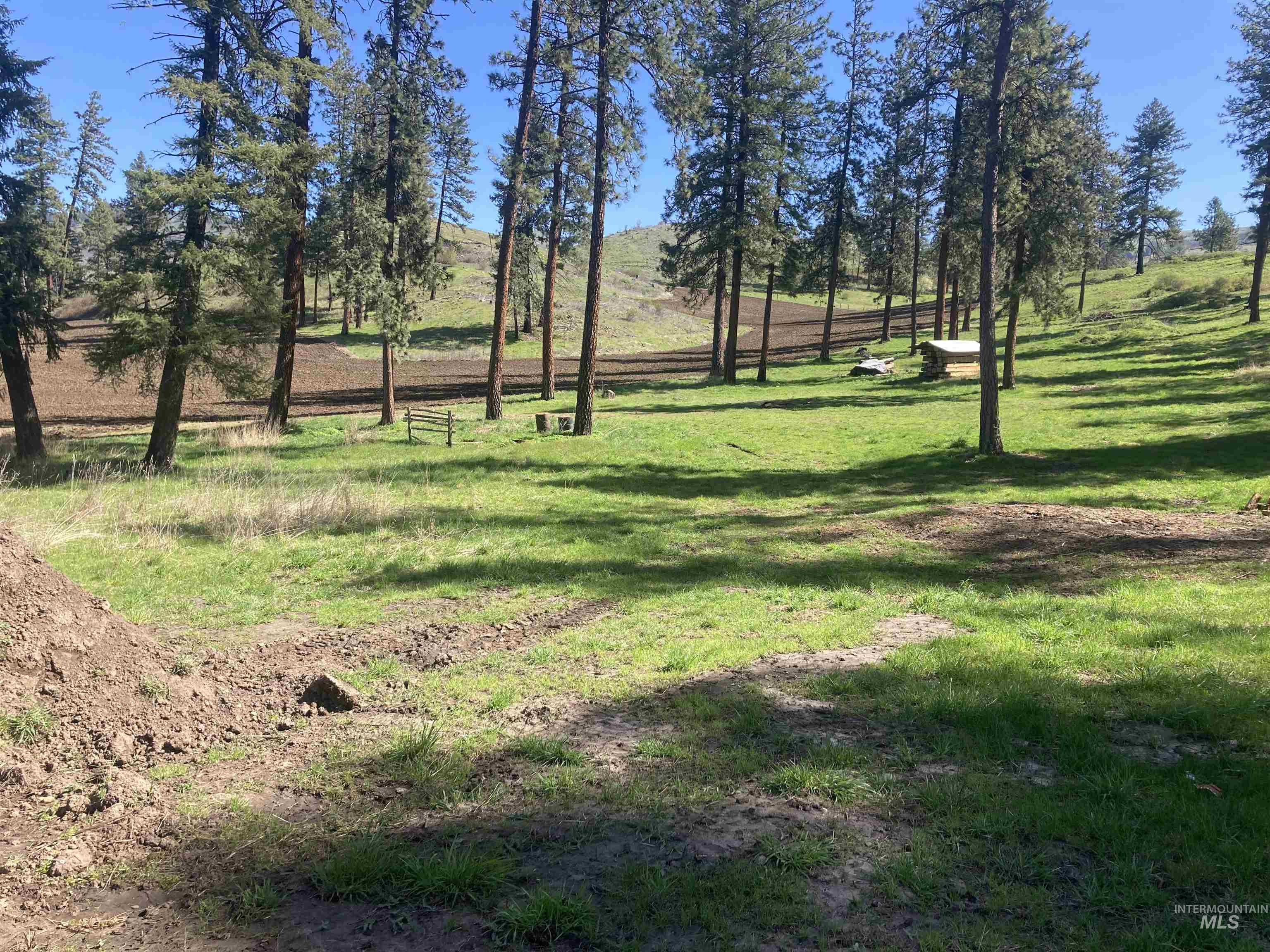 Tbd Rangeline Drive Kamiah, ID 83536 - Photo 15 of 24