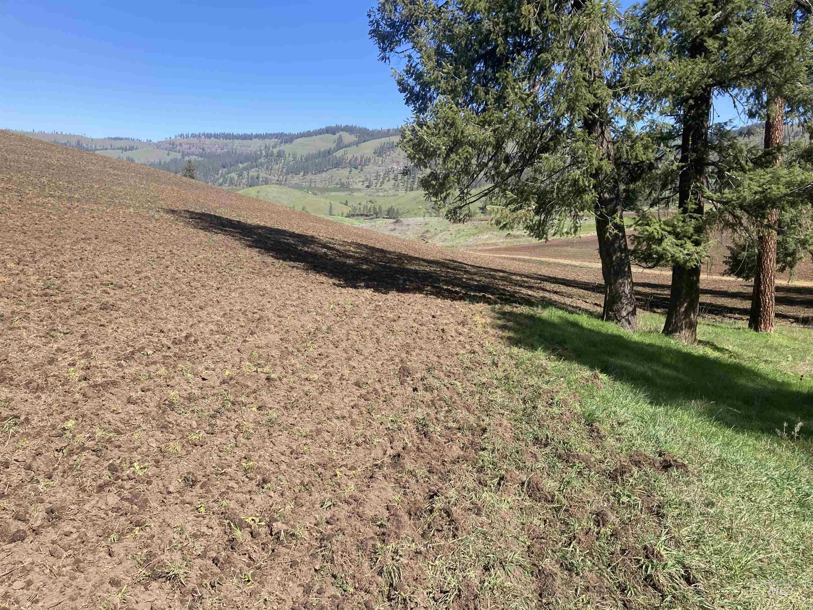Tbd Rangeline Drive Kamiah, ID 83536 - Photo 16 of 24