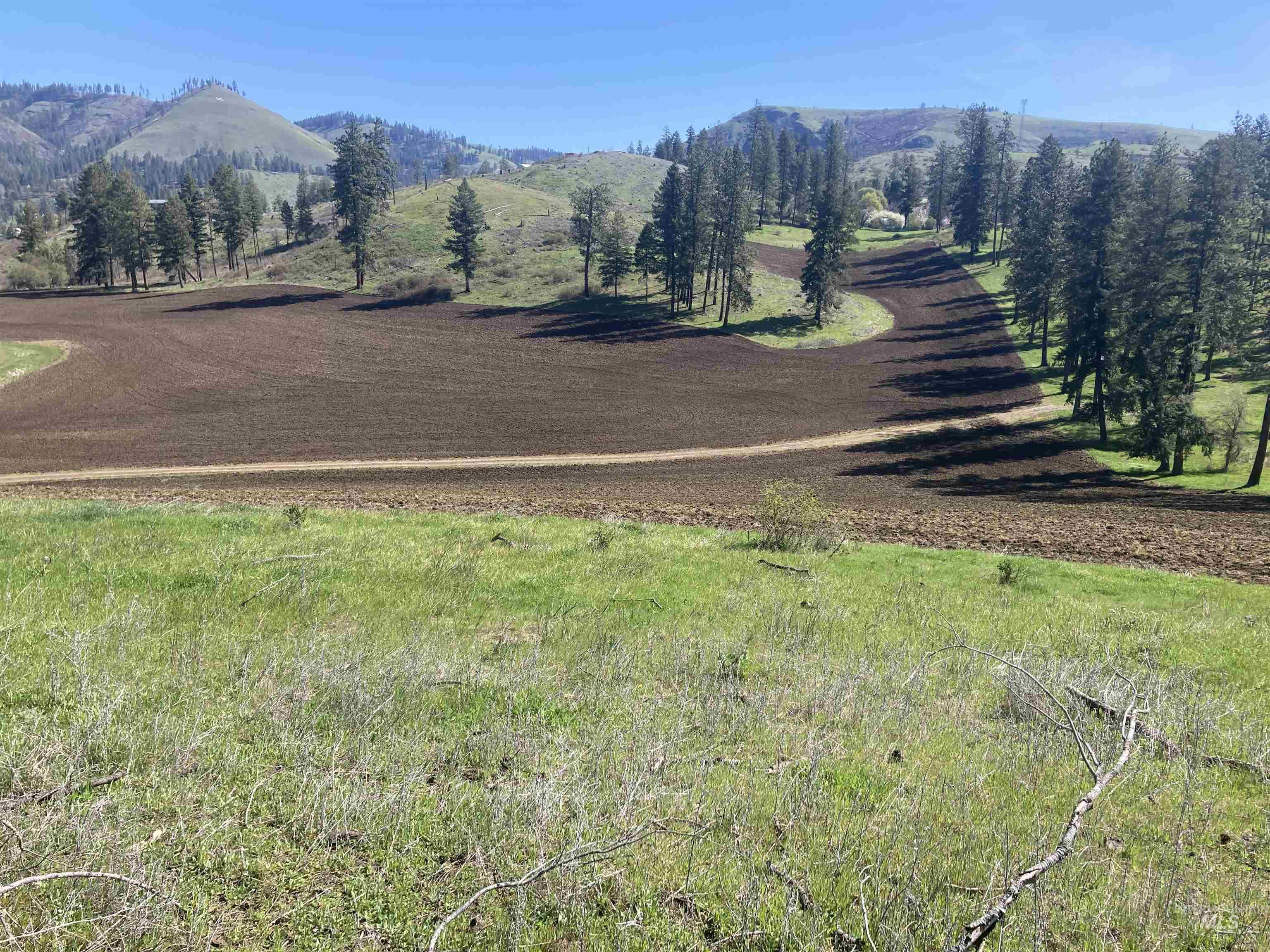 Tbd Rangeline Drive Kamiah, ID 83536 - Photo 17 of 24