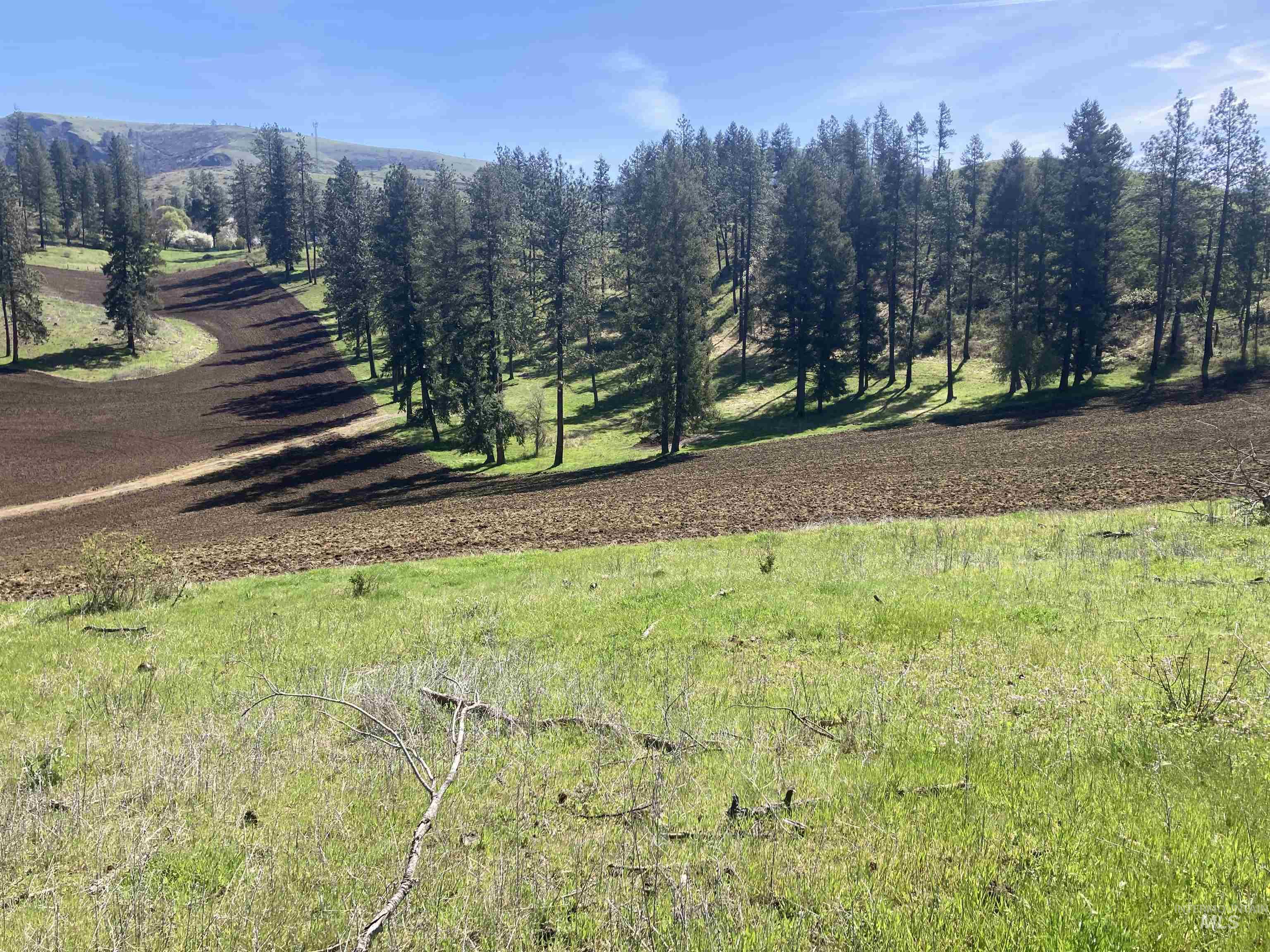 Tbd Rangeline Drive Kamiah, ID 83536 - Photo 18 of 24