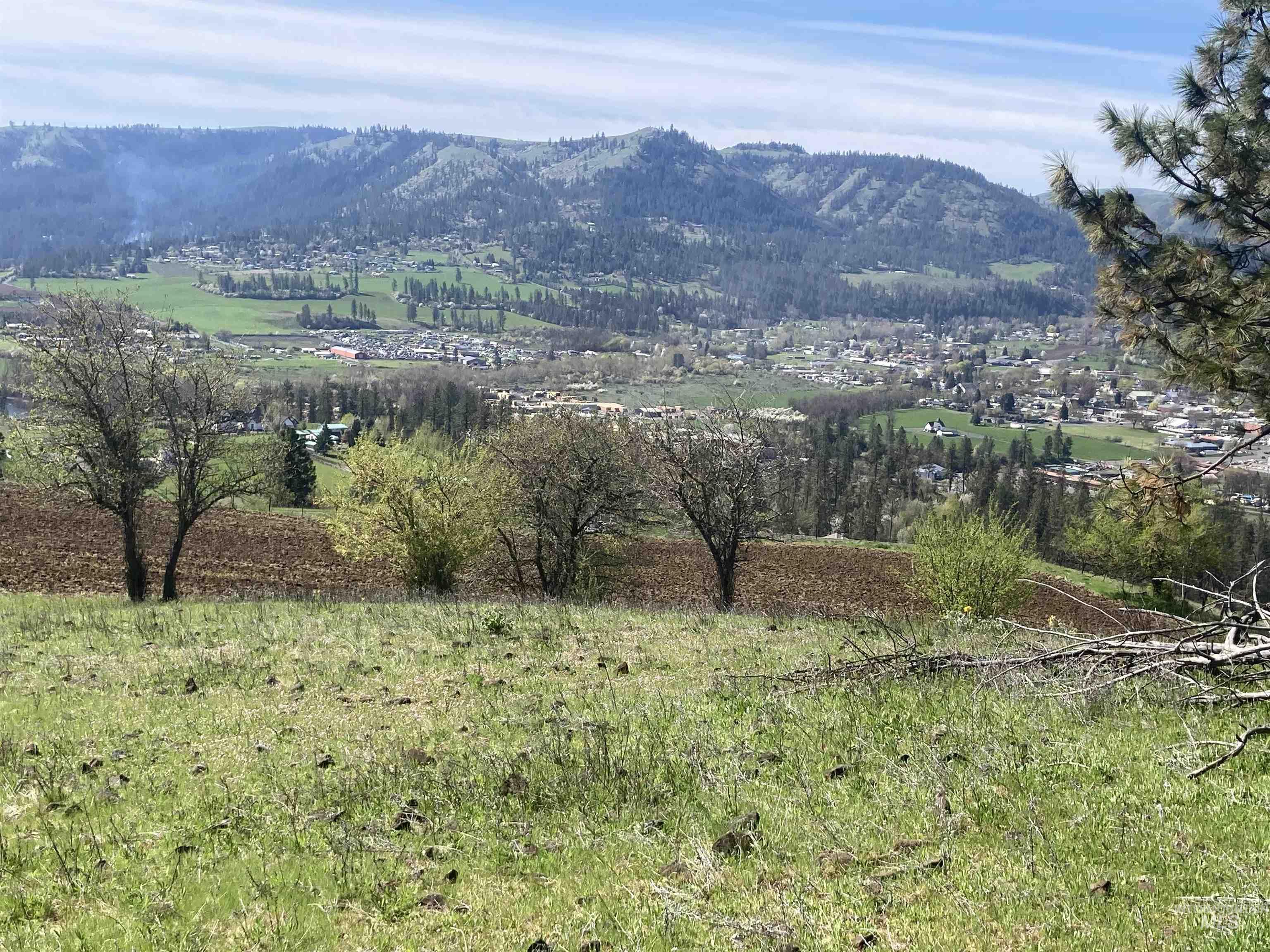 Tbd Rangeline Drive Kamiah, ID 83536 - Photo 21 of 24