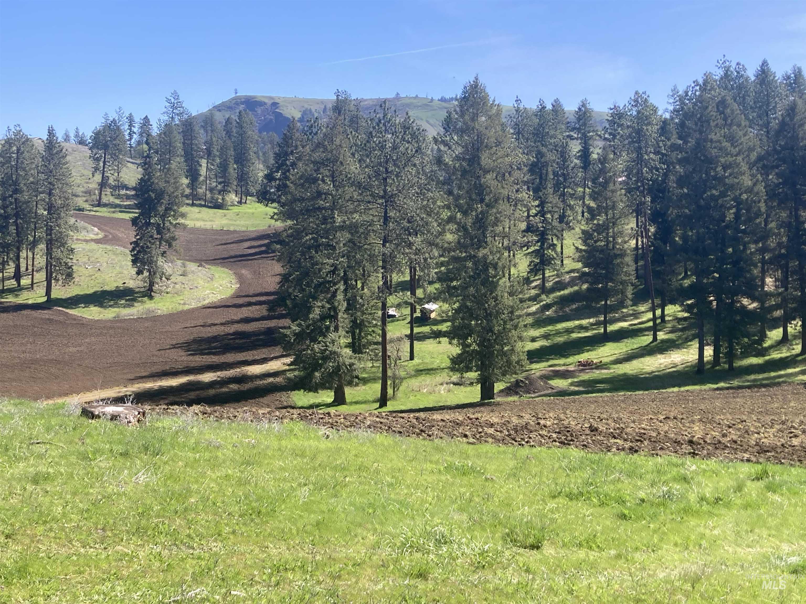 Tbd Rangeline Drive Kamiah, ID 83536 - Photo 24 of 24