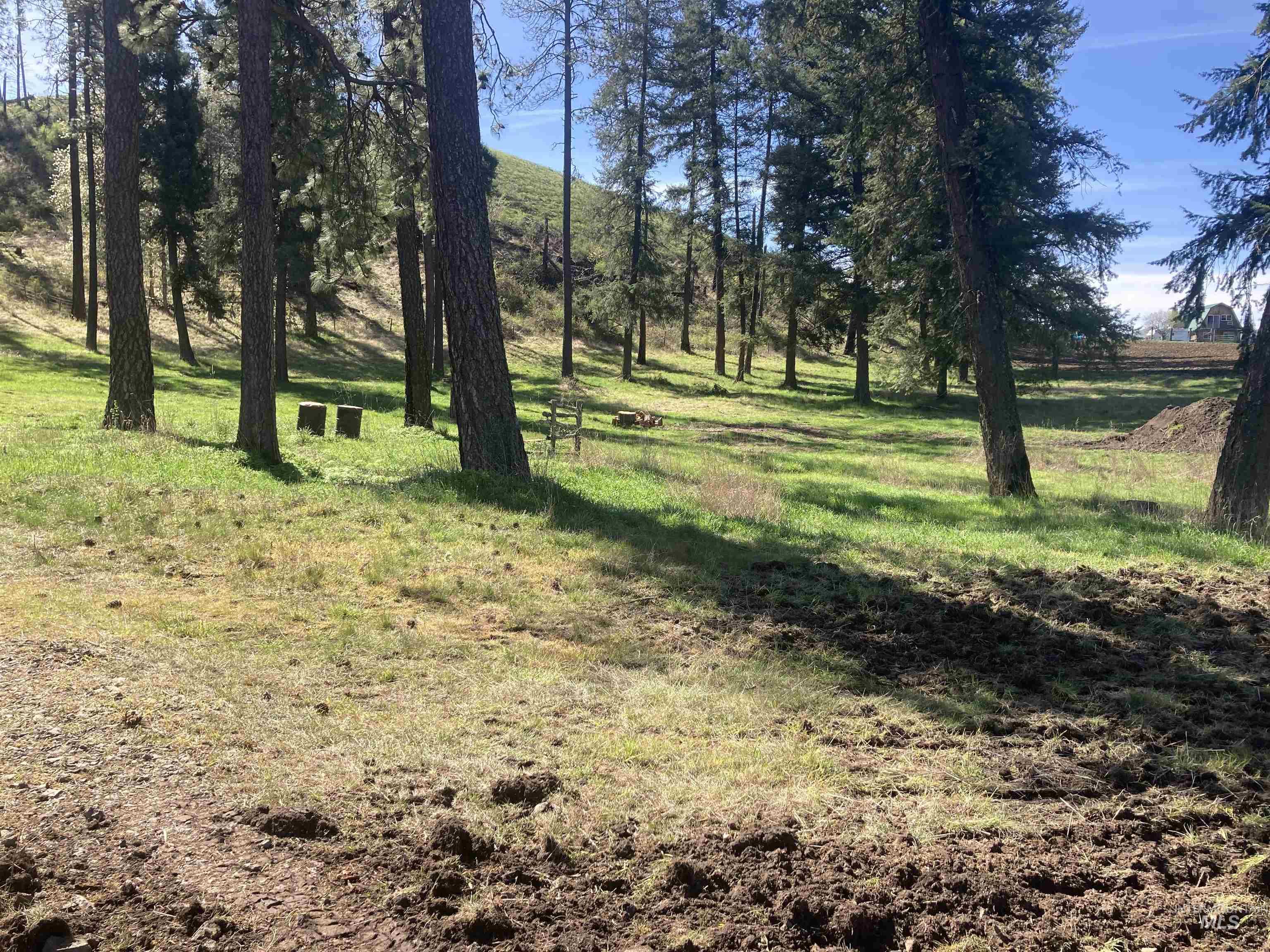 Tbd Rangeline Drive Kamiah, ID 83536 - Photo 3 of 24