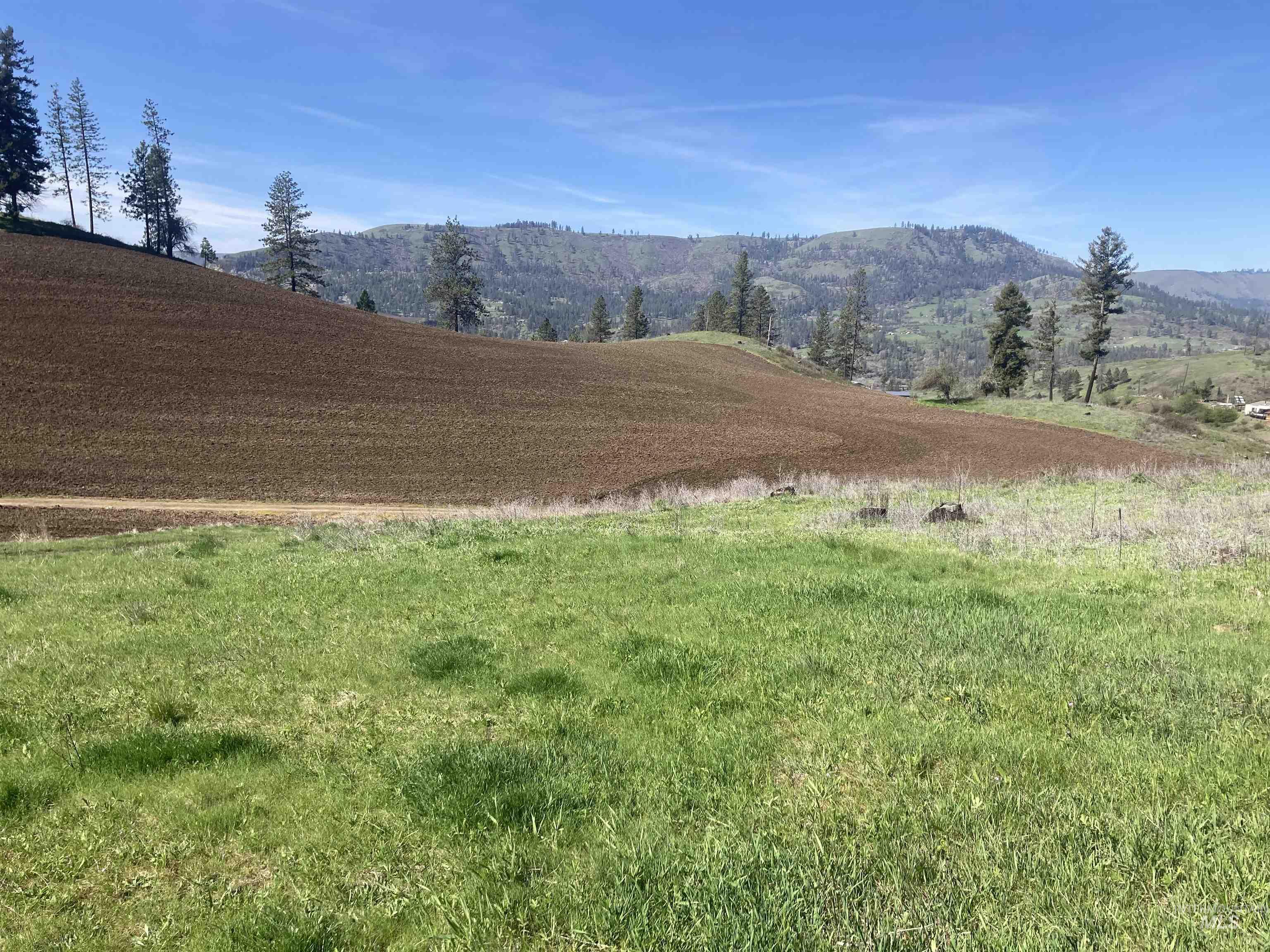 Tbd Rangeline Drive Kamiah, ID 83536 - Photo 4 of 24