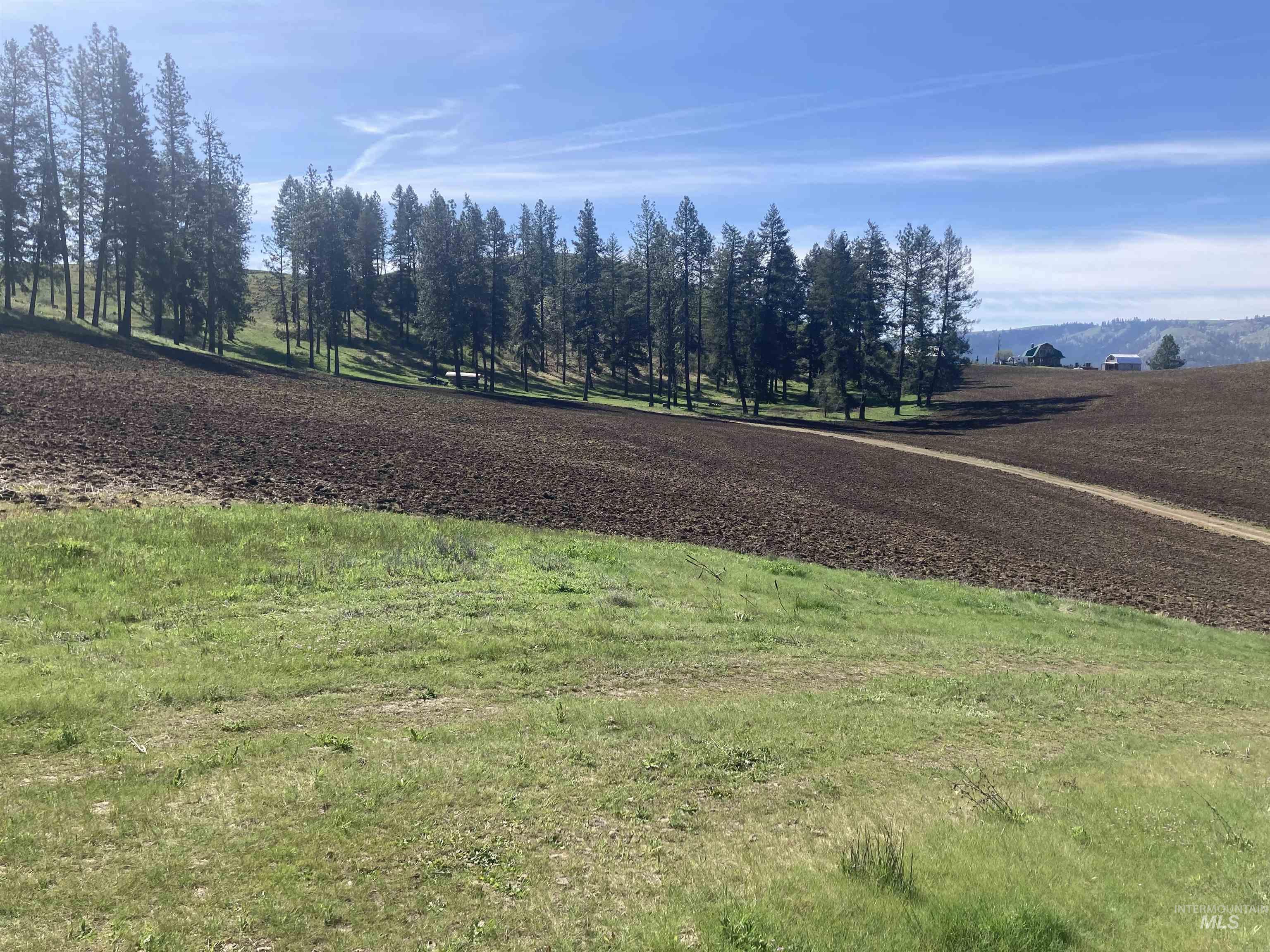 Tbd Rangeline Drive Kamiah, ID 83536 - Photo 5 of 24