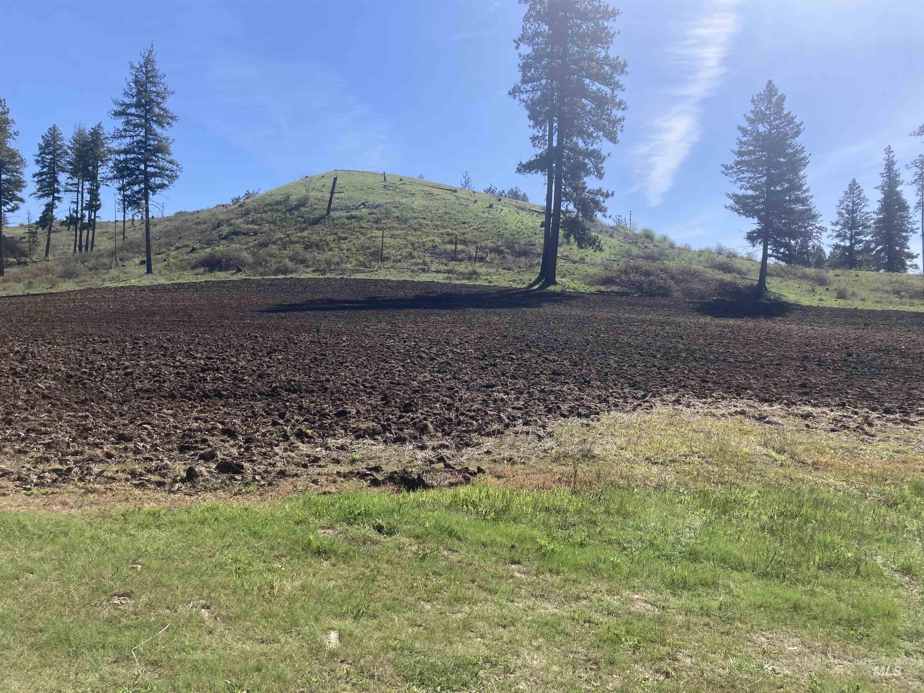 Tbd Rangeline Drive Kamiah, ID 83536 - Photo 6 of 24