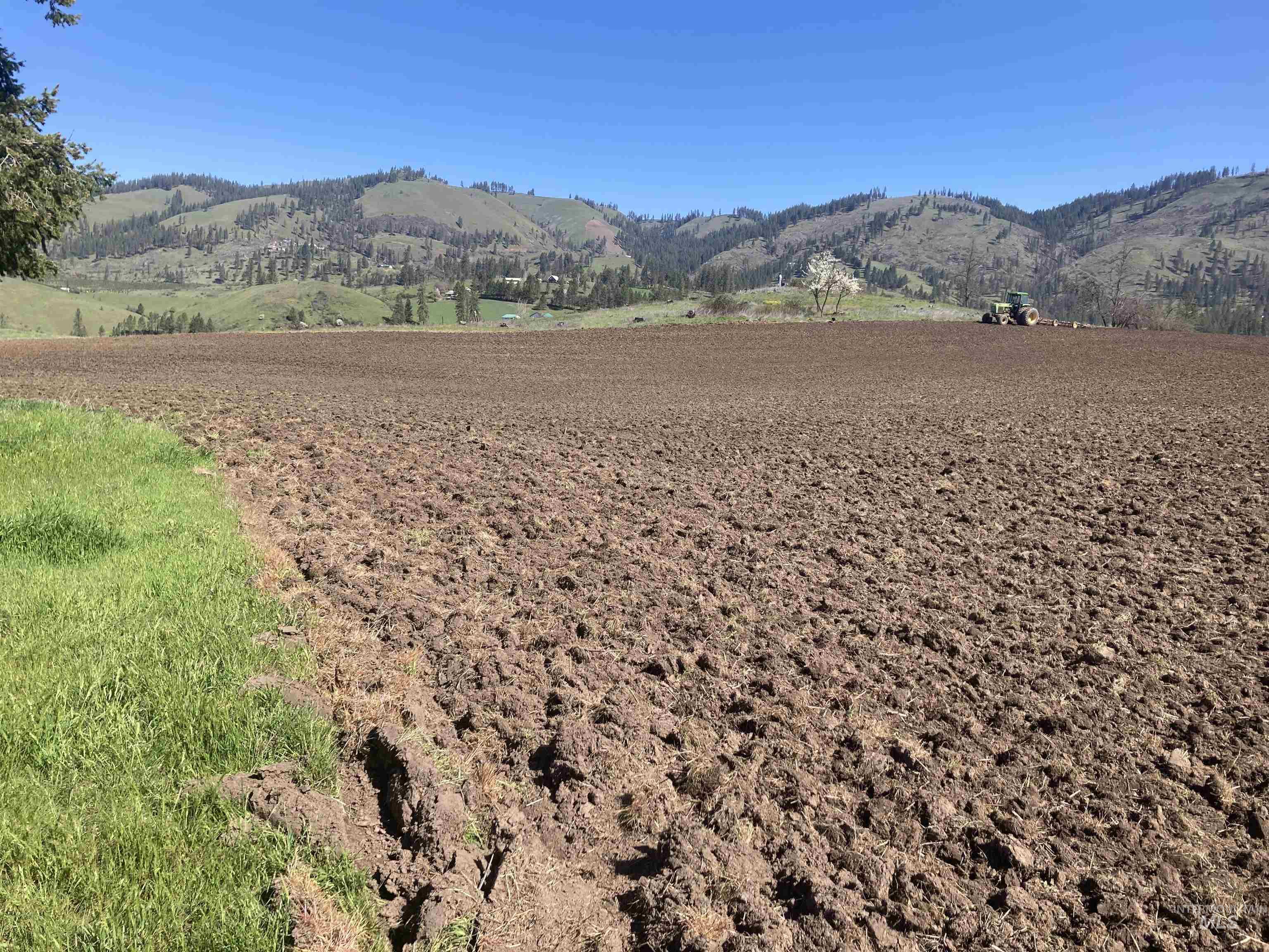 Tbd Rangeline Drive Kamiah, ID 83536 - Photo 7 of 24