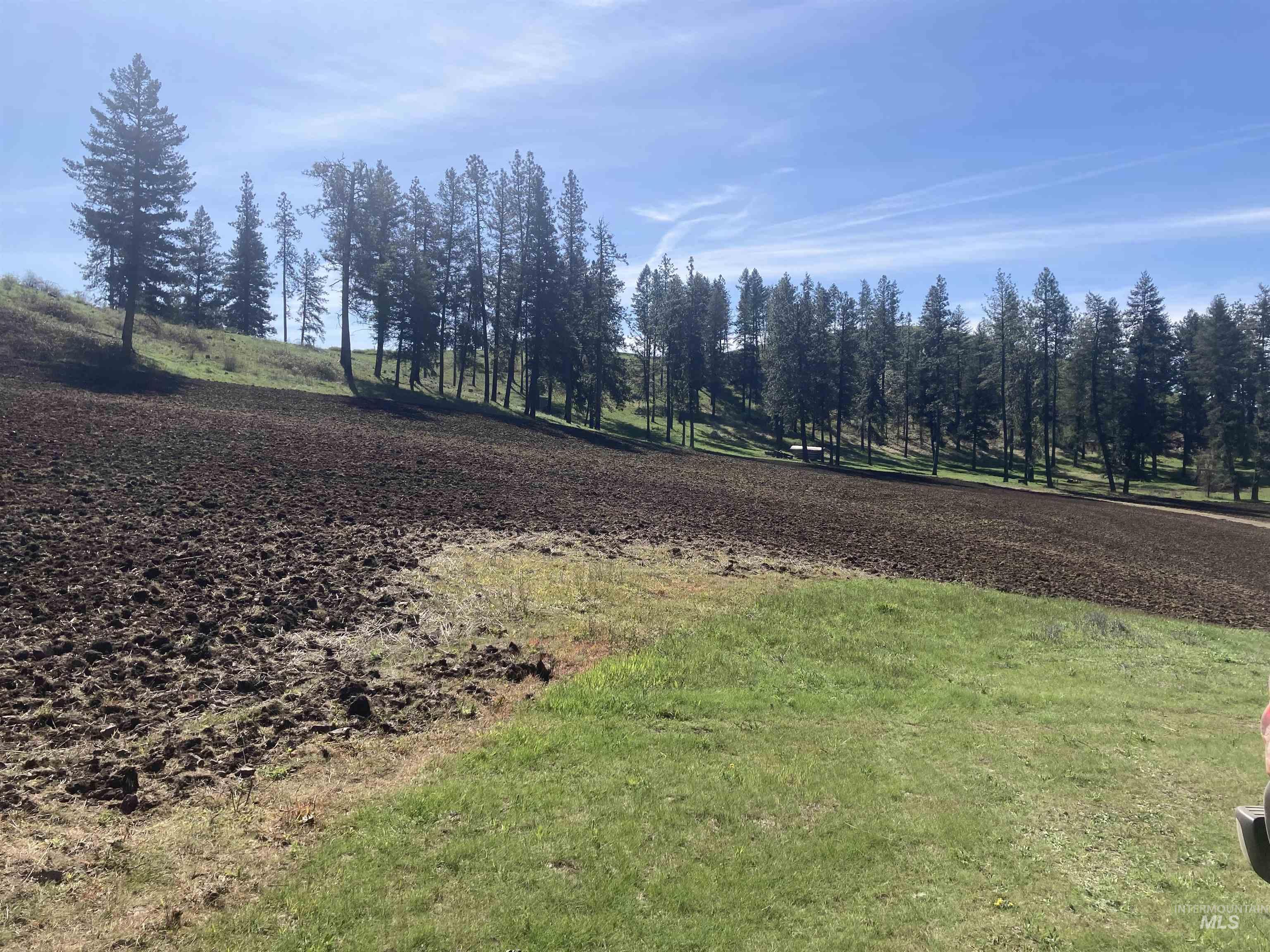 Tbd Rangeline Drive Kamiah, ID 83536 - Photo 9 of 24