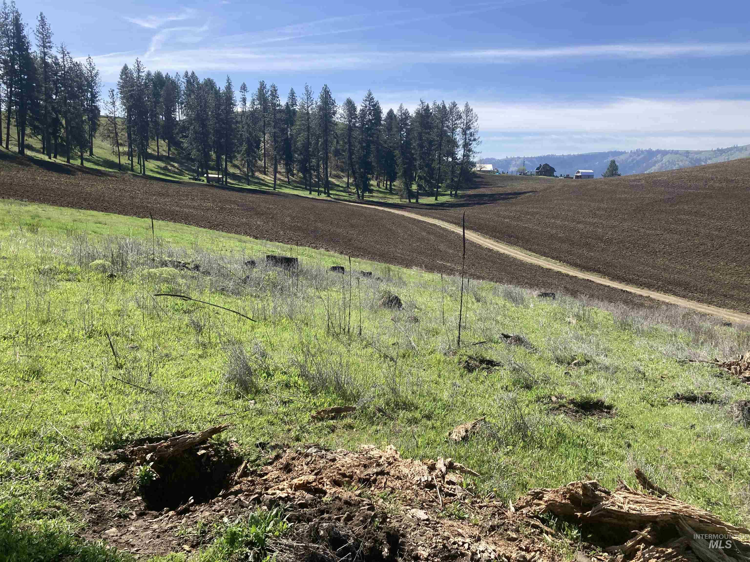 Tbd Rangeline Drive Kamiah, ID 83536 - Photo 10 of 24