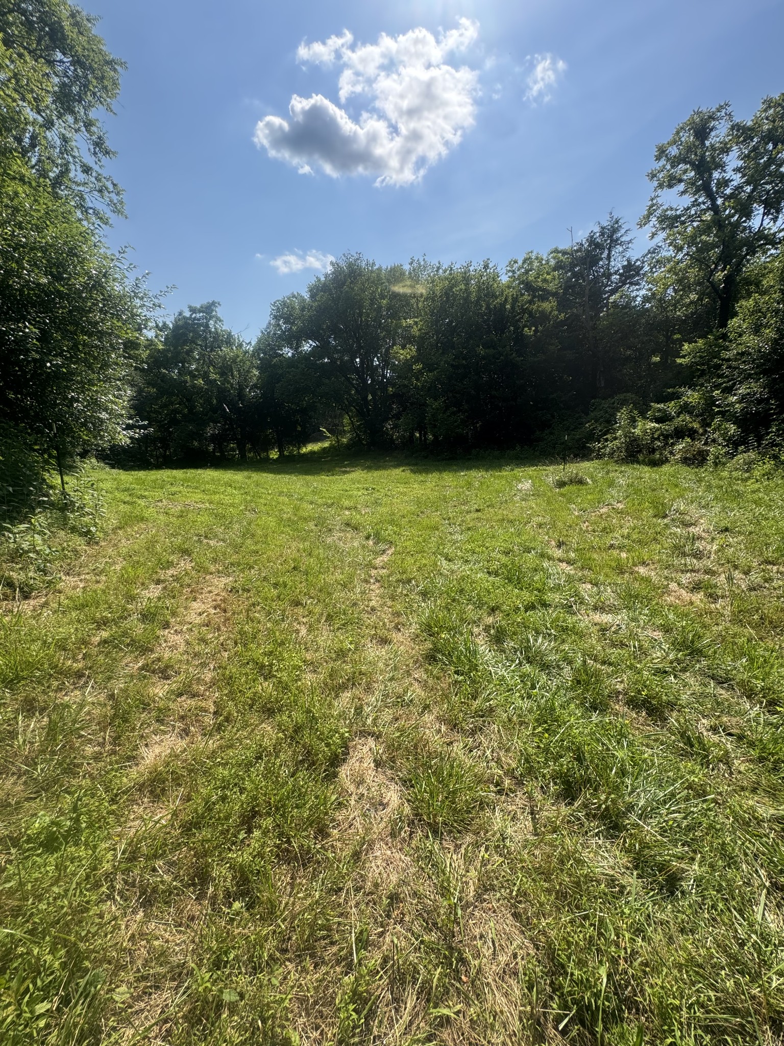 2970 Springplace Road Belfast, TN 37019 - Photo 36 of 40