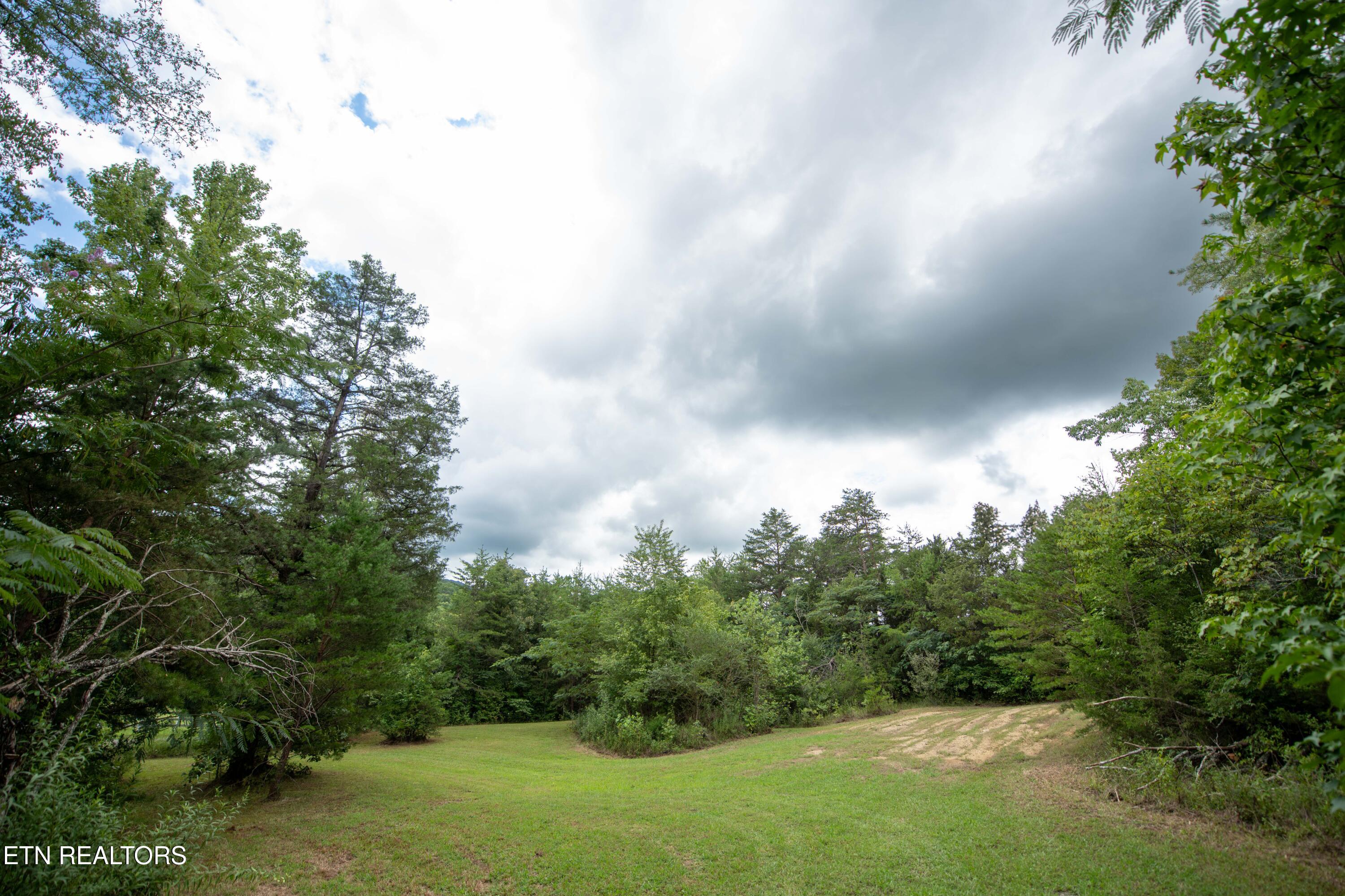1465 Belltown Road Tellico Plains, TN 37385 - Photo 6 of 15 DSC_1571